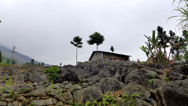 Dong Van stone plateau Beauty of harmony with stone